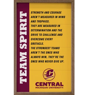 Team Spirit Central Michigan University